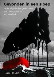 Omslag van Gevonden in een sloep