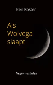 Omslag van Als Wolvega slaapt