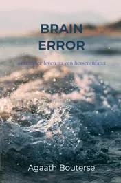 Omslag van Brain Error