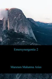 Omslag van Emersynergentie 2