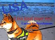 Omslag van Lisa