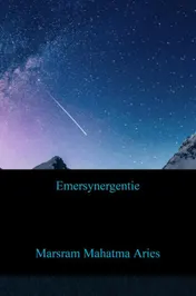 Omslag van Emersynergentie