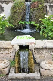 Omslag van Welwater