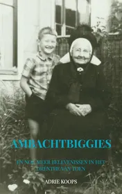 Omslag van Ambachtbiggies