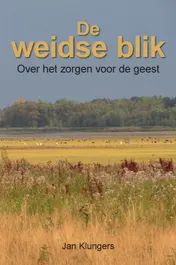 Omslag van De weidse blik