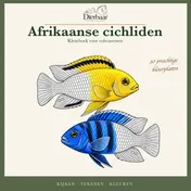 Omslag van Betta’s