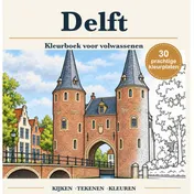 Omslag van Delft