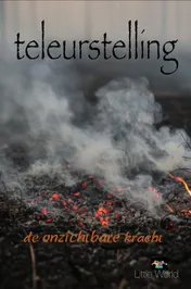 Omslag van Teleurstelling