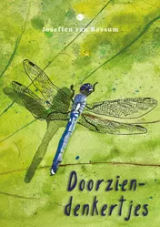 Omslag van Doorziendenkertjes