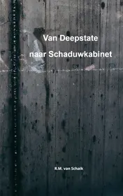 Omslag van Van Deepstate naar Schaduwkabinet