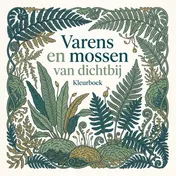 Omslag van Varens en mossen van dichtbij