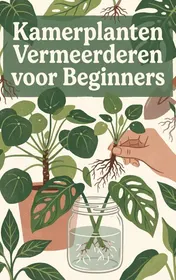 Omslag van Kamerplanten Vermeerderen voor Beginners