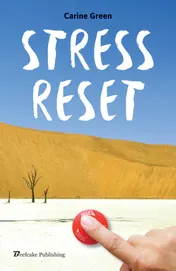 Omslag van Stress reset