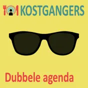 Omslag van Dubbele agenda