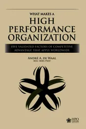 Omslag van What Makes a High Performance Organization