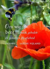 Omslag van Om wie jij bent
