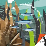 Omslag van Waddenzeeaquarium