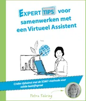 Omslag van Experttips voor samenwerken met een Virtueel Assistent
