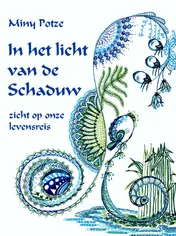 Omslag van In het licht van de schaduw