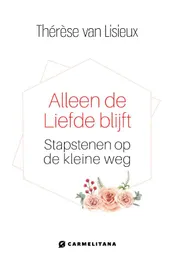 Omslag van Alleen de liefde blijft