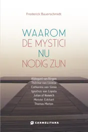 Omslag van Waarom de mystici nu van belang zijn