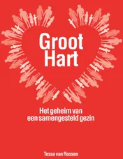 Omslag van Groot hart - het geheim van een samengesteld gezin
