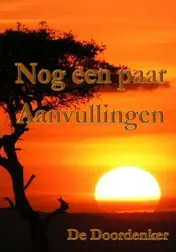 Omslag van Nog een paar aanvullingen
