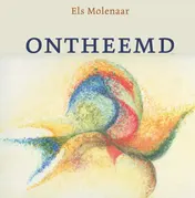 Omslag van Ontheemd