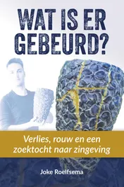 Omslag van Wat is er gebeurd?