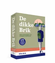 Omslag van De Dikke Brik, 100 leukste uitjes in Nederland