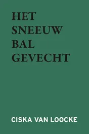 Omslag van Het Sneeuwbalgevecht