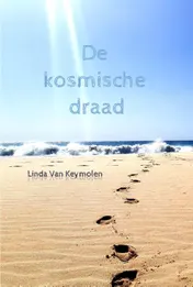 Omslag van De kosmische draad