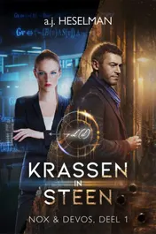 Omslag van Krassen in steen