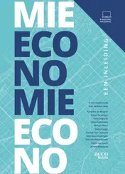 Omslag van Economie. Een inleiding