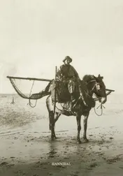 Omslag van Onze paardenvissers