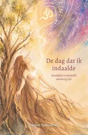 Omslag van De dag dat ik indaalde