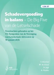 Omslag van Schadevergoeding in balans. De Big Five van de letselschade