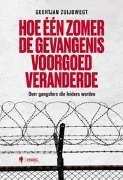 Omslag van Hoe één zomer de gevangenis voorgoed veranderde