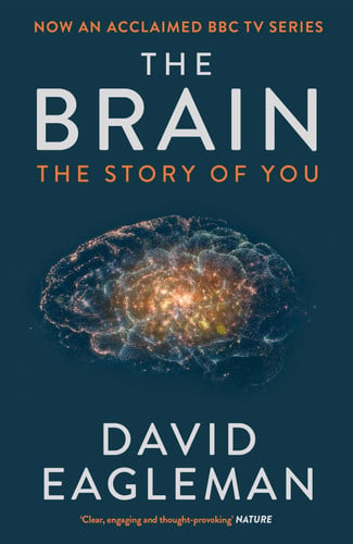 Omslag van The Brain The Story of You