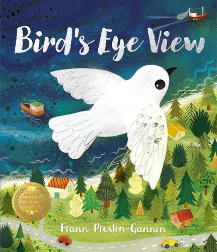 Omslag van Bird's Eye View