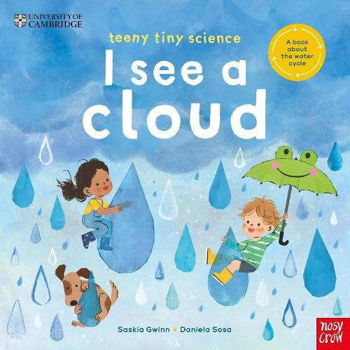 Omslag van I See a Cloud A Book about the Water Cycle