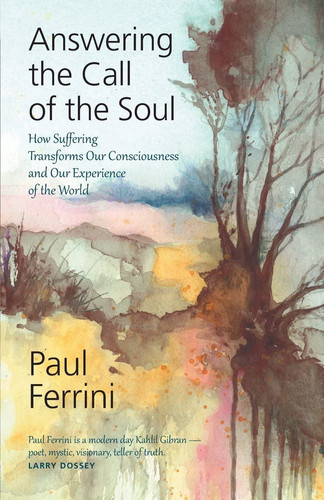 Omslag van Answering the Call of the Soul How Suffering Transforms Our Consciousness and Our Experience of the World