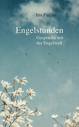 Omslag van Engelstunden Gespräche mit der Engelwelt