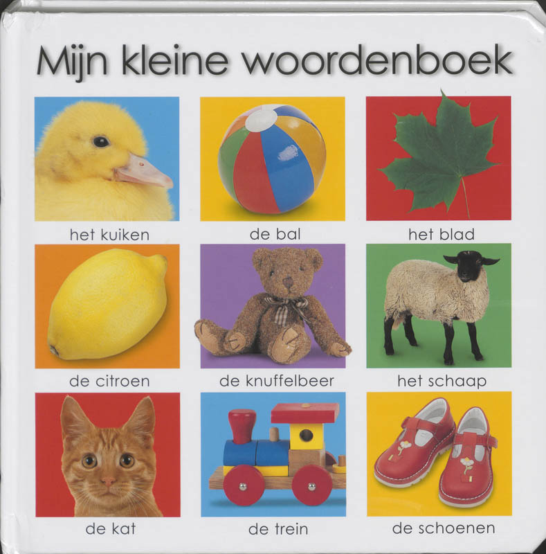 Omslag van Mijn kleine woordenboek