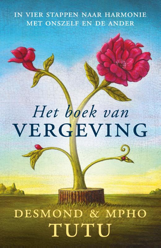 Omslag van Het boek van vergeving