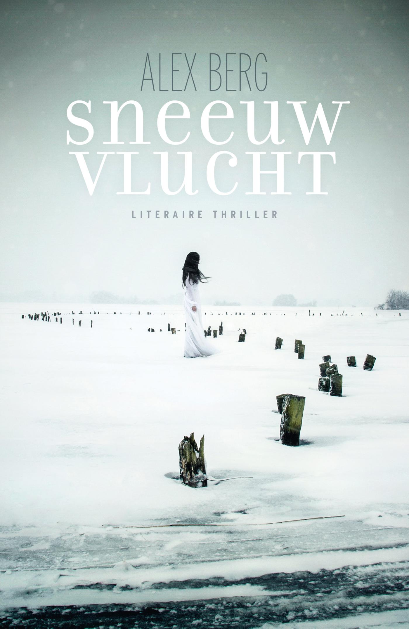 Omslag van Sneeuwvlucht