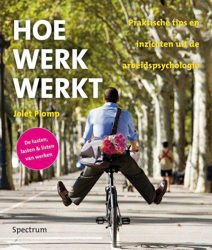 Omslag van Hoe werk werkt
