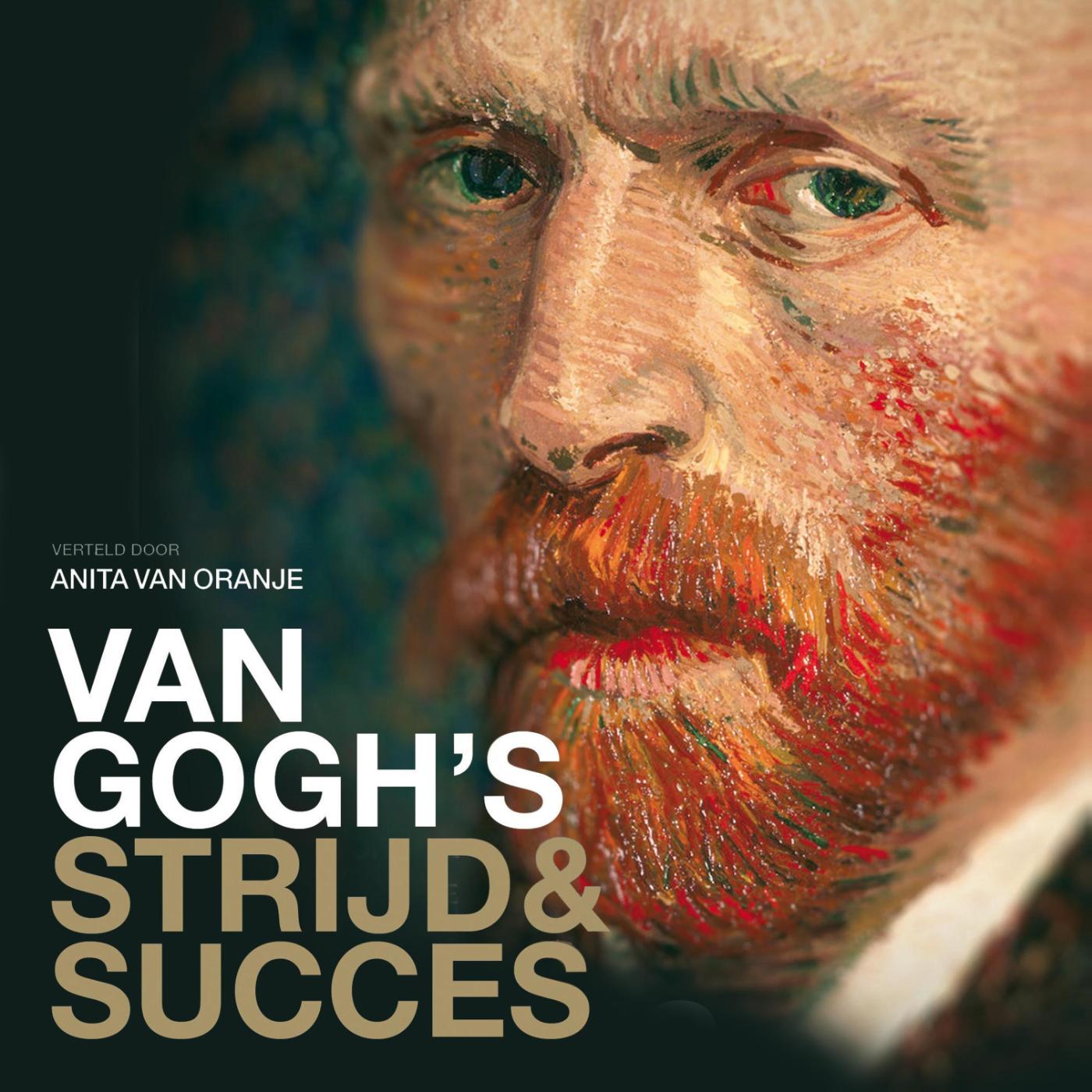 Omslag van Van Gogh's strijd en succes