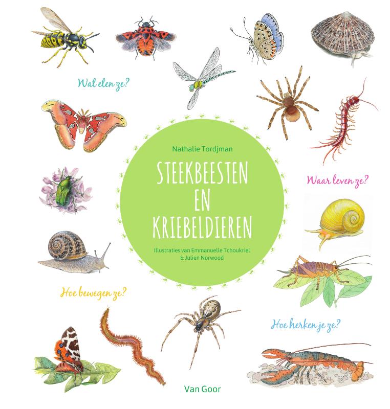 Omslag van Steekbeesten en kriebeldieren