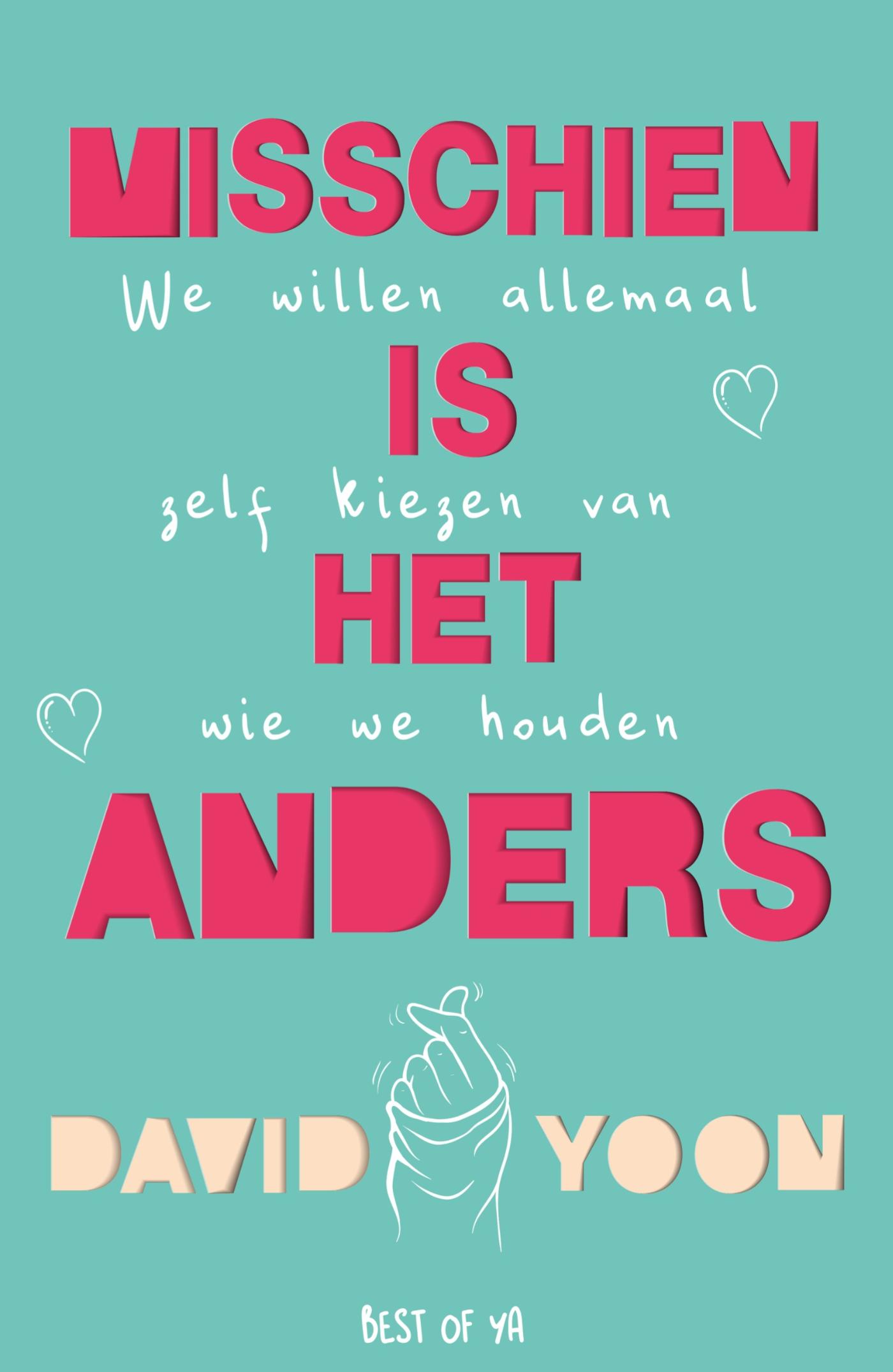 Omslag van Misschien is het anders
